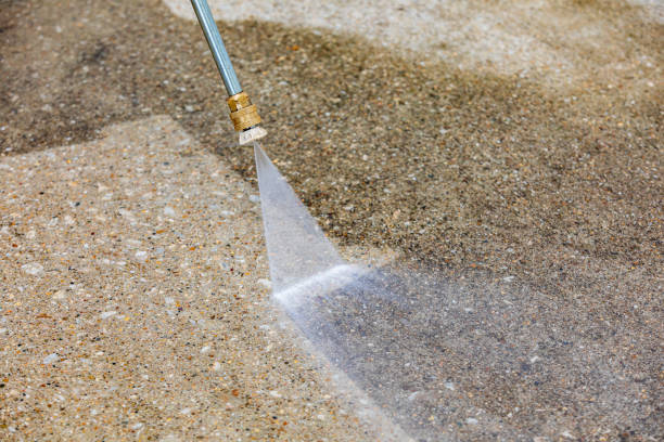 Best Driveway Pressure Washing  in Chula Vista, TX