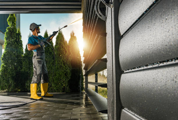 Best Sidewalk and Walkway Cleaning  in Chula Vista, TX